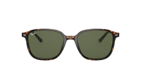 Ray-Ban Leonard RB2193 902/31 53-18 Tortoise