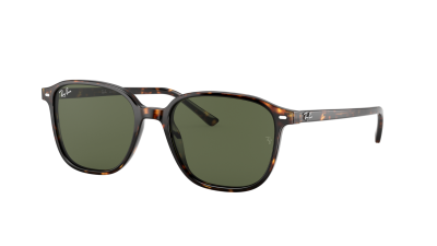 Ray-Ban Leonard RB2193 902/31 53-18 Escama