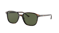 Ray-Ban Leonard RB2193 902/31 53-18 Schildpad