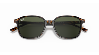 Ray-Ban Leonard RB2193 902/31 53-18 Escama