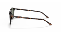 Ray-Ban Leonard RB2193 902/31 53-18 Schildpad