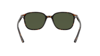 Ray-Ban Leonard RB2193 902/31 53-18 Tortoise