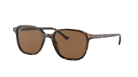 Ray-Ban Leonard RB2193 902/57 53-18 Escama
