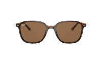 Ray-Ban Leonard RB2193 902/57 53-18 Żółw