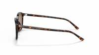 Ray-Ban Leonard RB2193 902/57 53-18 Tartaruga