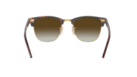 Ray-Ban Clubmaster RB3016 990/9J 51-21 Tartaruga
