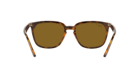 Sunglasses Ray-Ban RB4362 710/83 55-18 Havane Tortoise Large  display picture 1