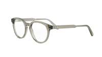 DIOR DIORBOTANICAO R3I 7800 49-19 Bruin