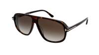 Tom Ford Guillaume FT1208/S 52K 61-12 Havane