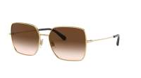 Dolce & Gabbana DG2242 02/13 57-16 Oro