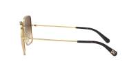 Dolce & Gabbana DG2242 02/13 57-16 Oro