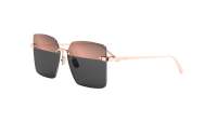 DIOR Cdior CDIOR S3U E0A7 60-15 Rose