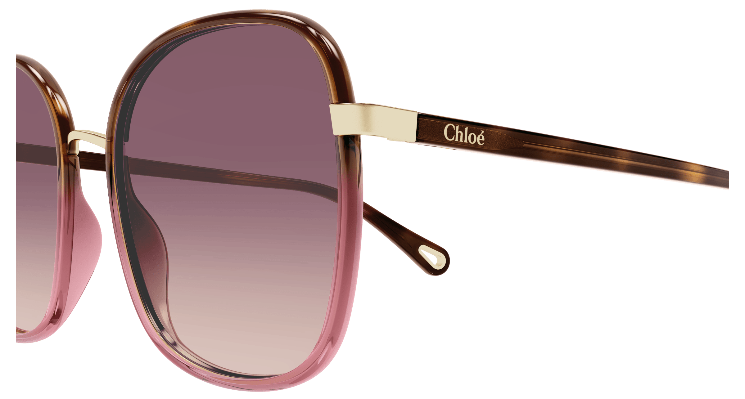 Gafas de sol Chloé CH0031S 016 56-19 Havana Red en stock | Visiofactory