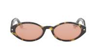 DIOR DIORPACIFIC R1I 20L0 52-18 Tortuga