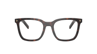 Prada PR B11V 17N-1O1 52-20 Root tortoise