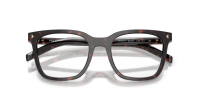 Prada PR B11V 17N-1O1 52-20 Root tortoise