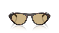 Prada PR B15S 17N70R 51-21 Root tortoise