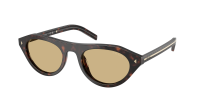 Prada PR B15S 17N70R 51-21 Root tortoise