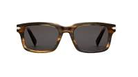 DIOR DIORBLACKSUIT S16I 90A0 52-20 Bruin