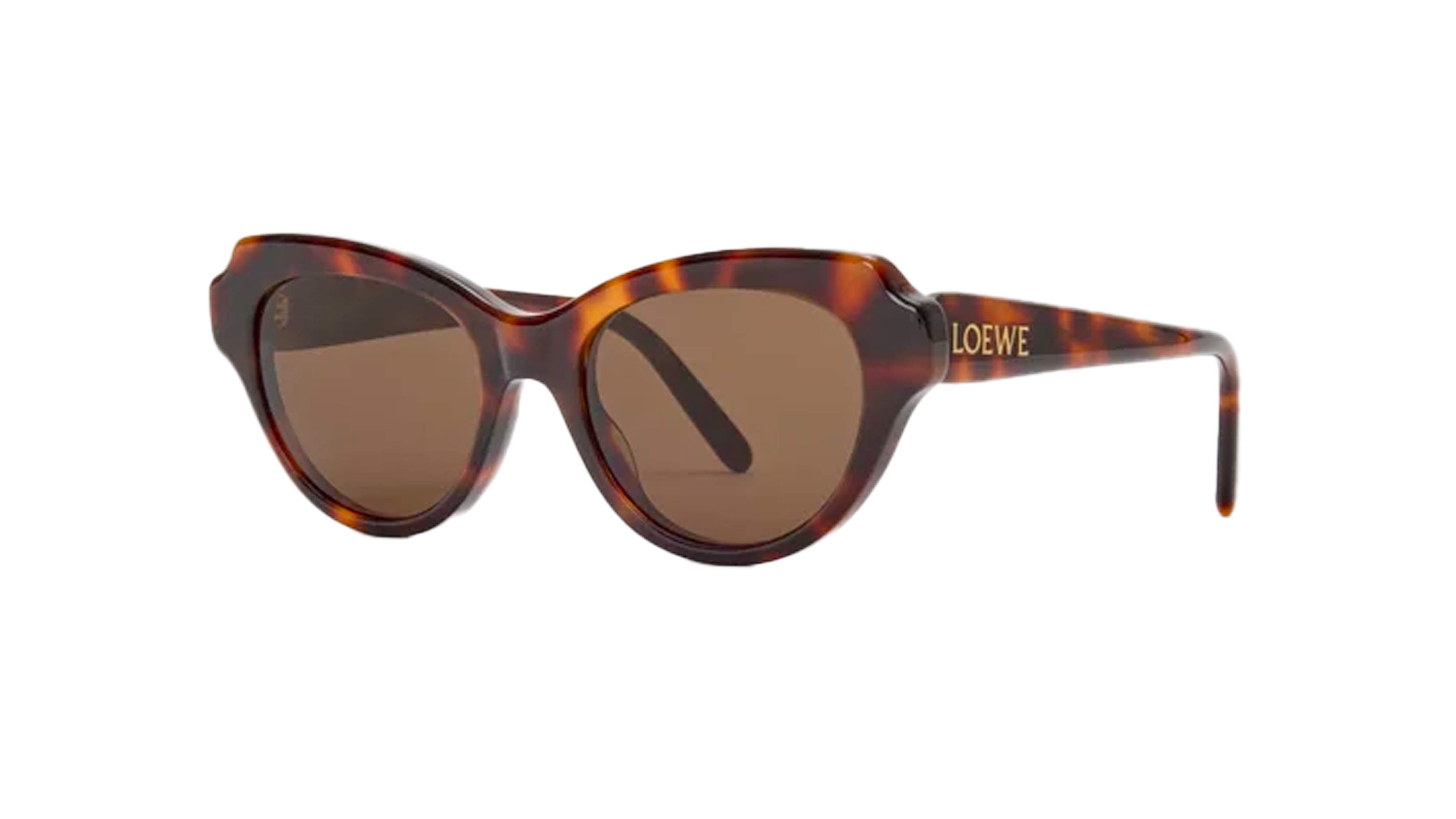 Sunglasses Loewe Slim LW40178I 52E 53-19 Havana