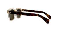 Moscot DOLT SUN 49 FLESH/TORTOISE