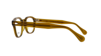 Moscot LEMTOSH 46 OLIVE BROWN DEM.