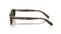 Oliver peoples N.08 sun OV5588SU 174152 49-20 Atago Tortoise