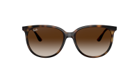 Ray-Ban RB4378 710/13 54-16 Havana