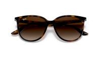 Ray-Ban RB4378 710/13 54-16 Havana