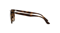Ray-Ban RB4378 710/13 54-16 Havana