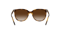 Ray-Ban RB4378 710/13 54-16 Havana
