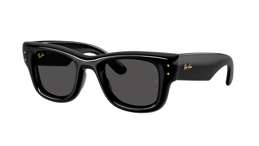 Ray-Ban Puffer RB4940 601/87 47-23 Noir