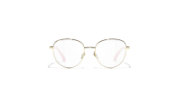 CHANEL CH2223Q C489 52-18 Pale Gold
