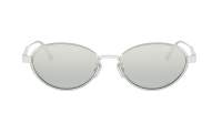 DIOR DIORCANNAGE R1U F016 53-16 Argent