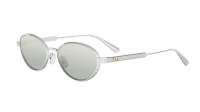 DIOR DIORCANNAGE R1U F016 53-16 Silber