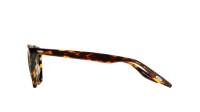 Barton Perreira Dino BP40105I 52N CTO/V 50-23 Classic tortoise