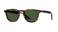 Barton Perreira Dino BP40105I 52N CTO/V 50-23 Classic tortoise