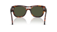 Persol PO0064S 24/31 54-22 Havana