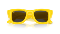 Ray-Ban Wayfarer puffer RB4940 6830/87 47-23 Jaune