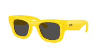 Ray-Ban Wayfarer puffer RB4940 6830/87 47-23 Jaune