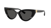 Dolce & Gabbana DG4497 501/87 52-18 Noir