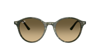 Ray-Ban Bernard RB2230 14210A 53-21 Transparent shade fantasy green