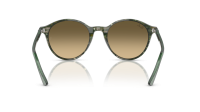 Ray-Ban Bernard RB2230 14210A 53-21 Transparent shade fantasy green