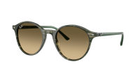 Ray-Ban Bernard RB2230 14210A 53-21 Transparent shade fantasy green