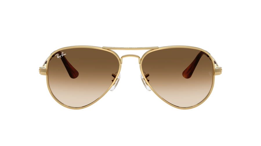 Sunglasses Ray-Ban Aviator max RB3925 001/51 58-16 Arista in stock