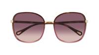 Chloé Franky CH0031S 016 56-19 Havana Red