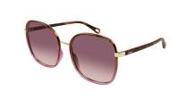 Chloé Franky CH0031S 016 56-19 Havana Red