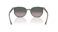 Ray-Ban Elliot RB2197 1438/M3 52-19 Striped Grey