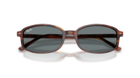 Ray-Ban RB2232 954/62 54-19 Striped Havana