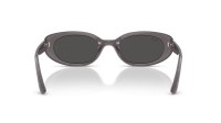 Ray-Ban Bio-based RB4441D 6777/87 53-21 Transparent Dark Grey